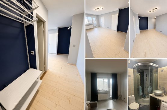 Korteri remont Tallinnas – esiku ja suure toa remont